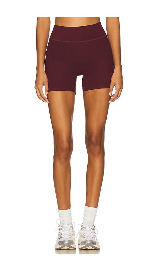 437 The Essentials Short in Burgundy by 437