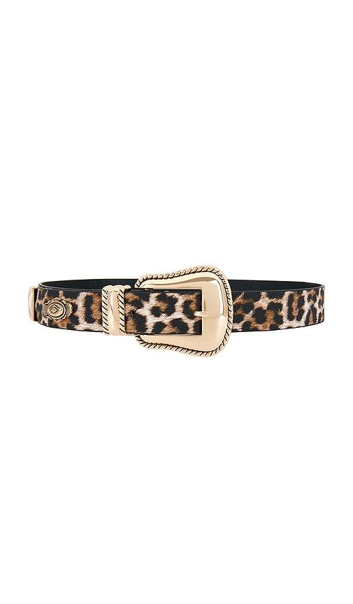 8 Other Reasons Leopard Print Belt With Gold Detail in Brown by 8 OTHER REASONS
