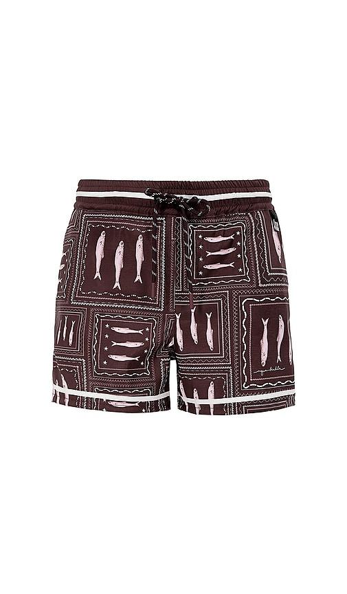 Agua Bendita Kids Nick Basket Swim Short in Chocolate by AGUA BENDITA