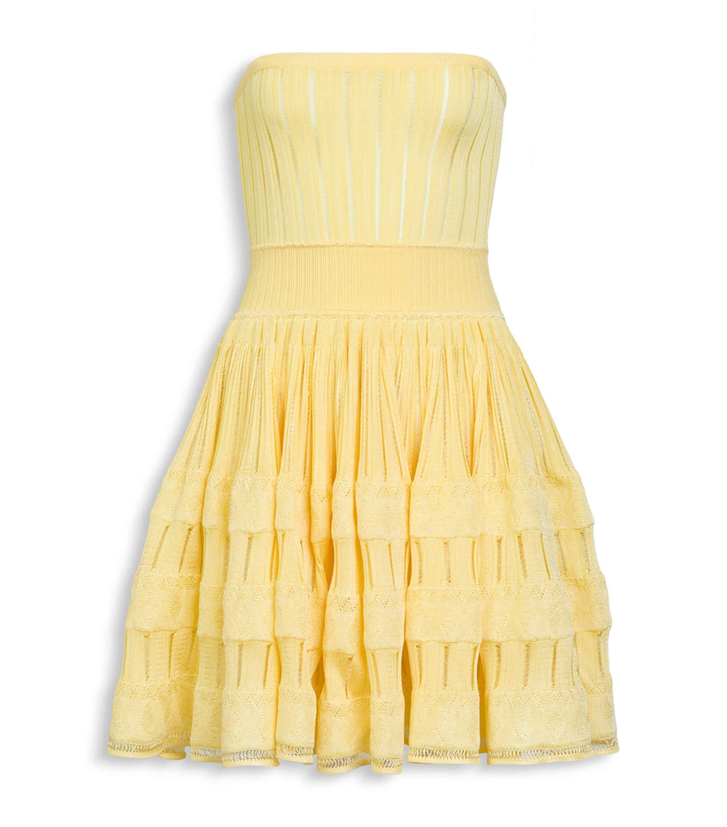 Alaïa Crinoline Mini Dress by ALAIA