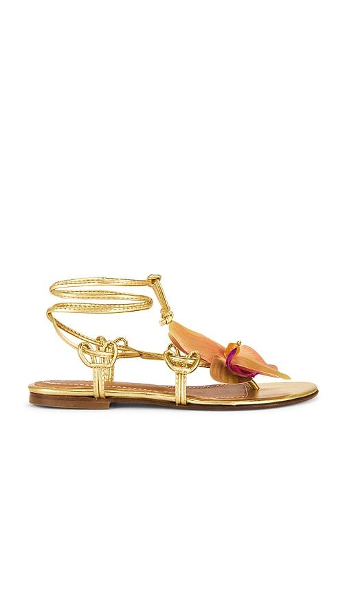 Alameda Turquesa Victoria Sandal in Metallic Gold, yellow by ALAMEDA TURQUESA Alameda Turquesa Victoria Sandal in Metallic Gold, yellow by ALAMEDA TURQUESA