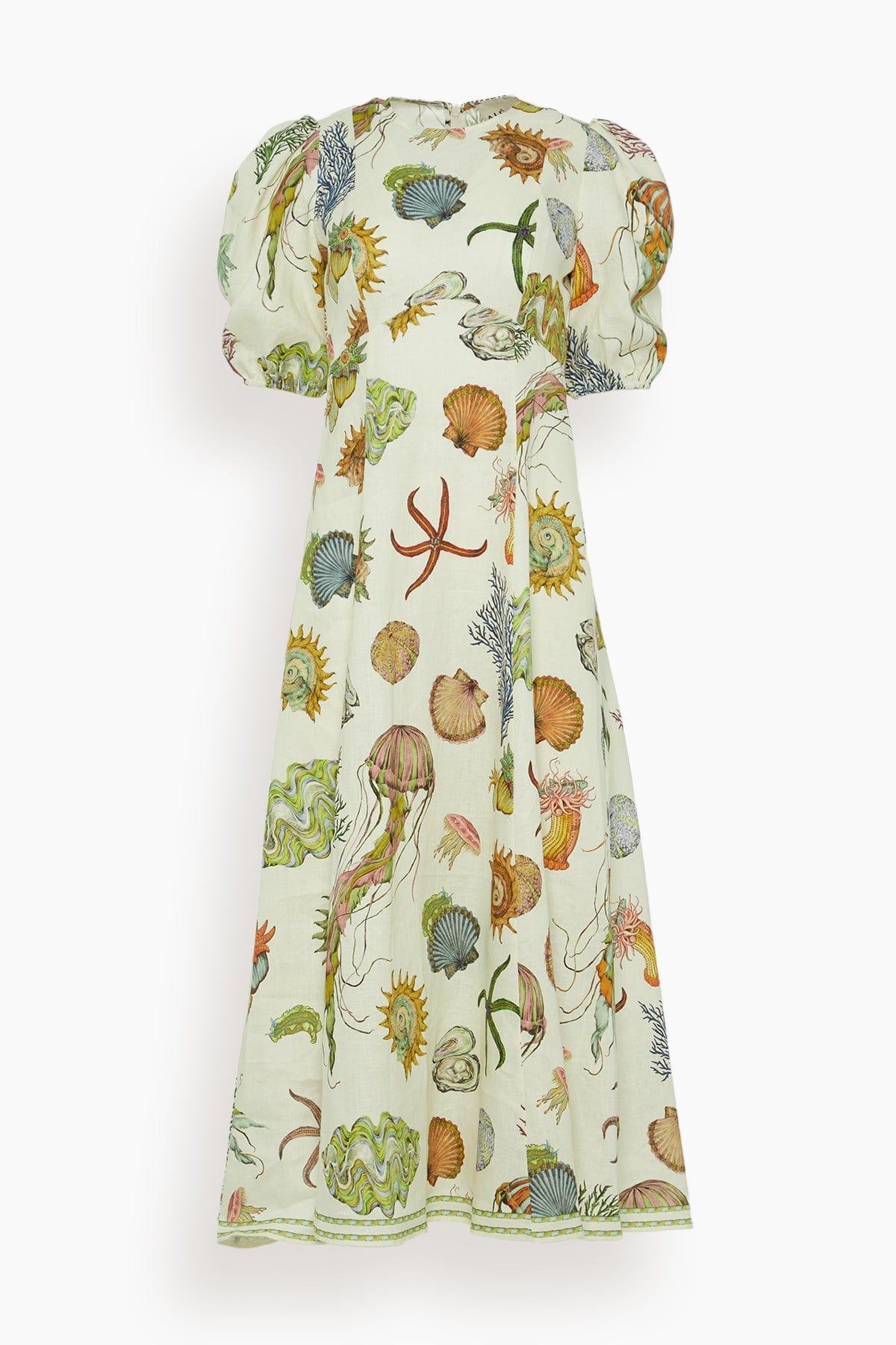 Sea Midi Dress in Cream (TS) by ALEMAIS