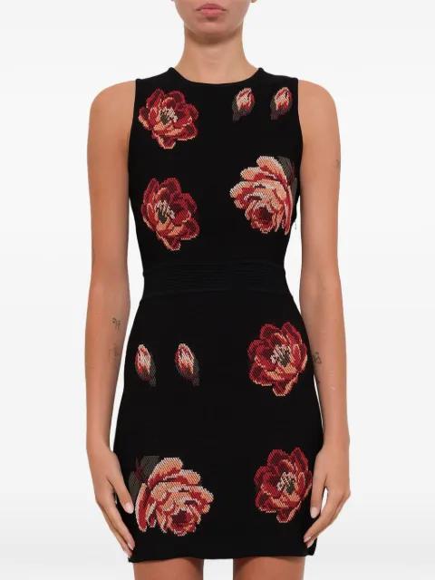 Rose Tapestry Mini Knit dress by ALEXANDER MCQUEEN