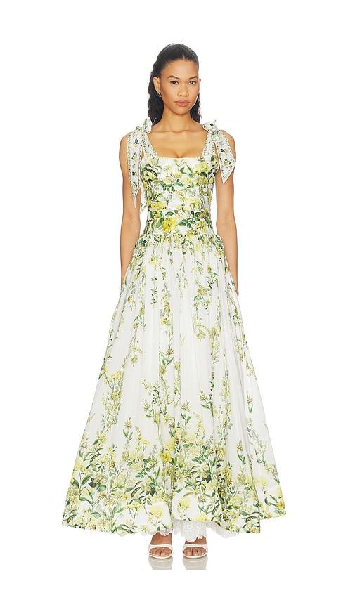 Alice + Olivia Haven Flared Maxi Dress in Green,White by ALICE+OLIVIA