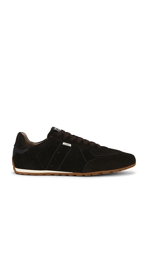 ALLSAINTS Liam Low Top Sneaker in Brown by ALLSAINTS