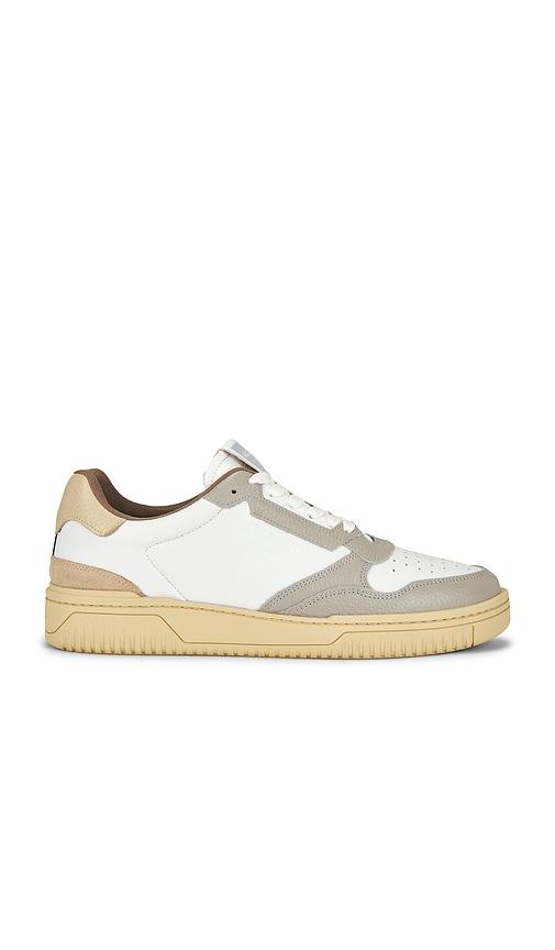 ALLSAINTS Regan Low Top Sneaker in White,Grey by ALLSAINTS