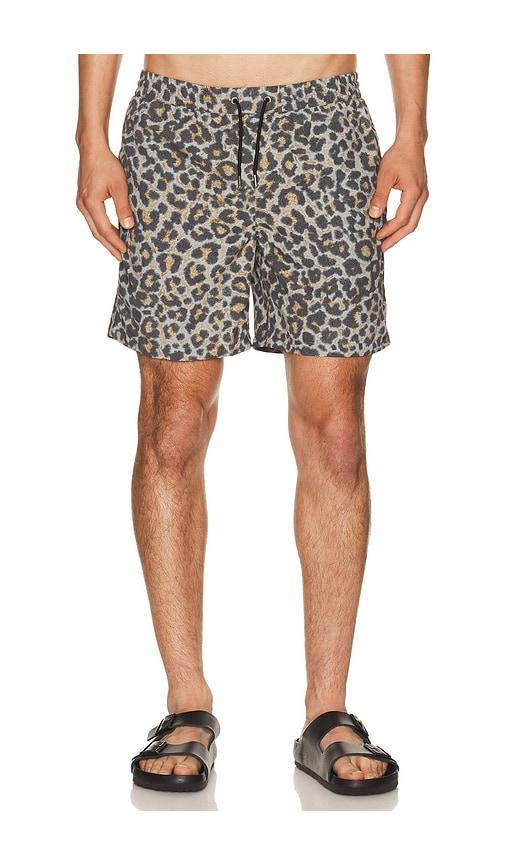 ALLSAINTS Silesia Swimshort in Grey by ALLSAINTS