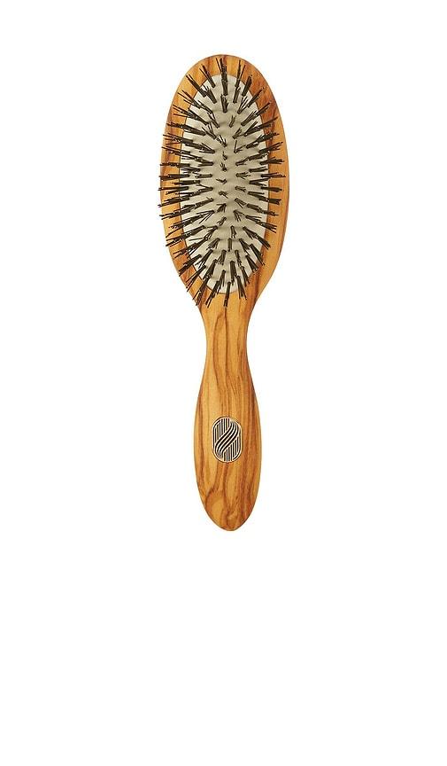 Altesse Studio Beaute Petite Gentle Detangling Brush Fine To Medium in Tan by ALTESSE STUDIO