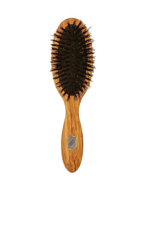 Altesse Studio Beaute Petite Repair & Shine Brush Fine To Medium in Tan by ALTESSE STUDIO