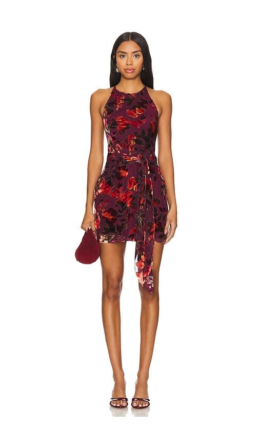 Amanda Uprichard Selah Dress in Burgundy by AMANDA UPRICHARD