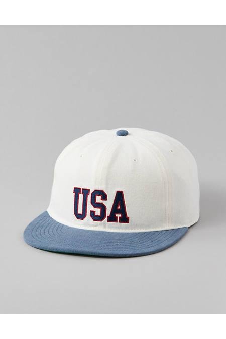 AE Americana Baseball Hat Men's Natural One Size by AMERICAN EAGLE