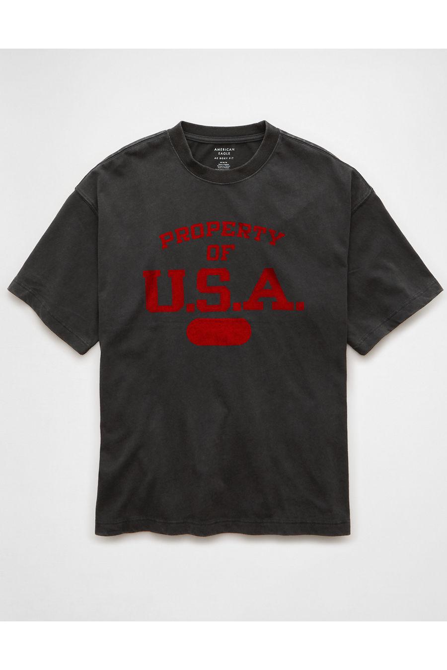 AE Boxy Ski Graphic T-Shirten's Dusted Slate by AMERICAN EAGLE