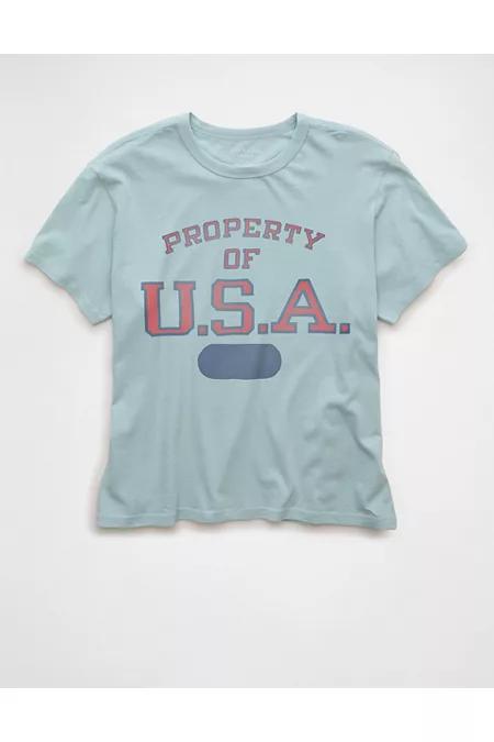 AE Ex-Boyfriend USA Graphic T-Shirt Women's Light Blue by AMERICAN EAGLE