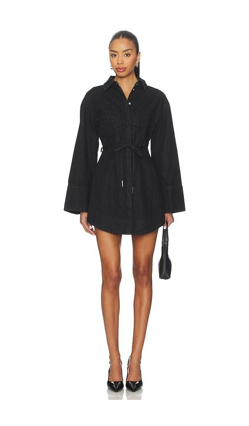AMUR Clea Denim Day Dress in Charcoal by AMUR