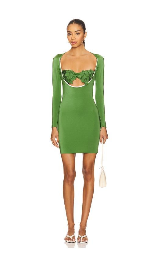 Ancora Lupine Dress in Green by ANCORA