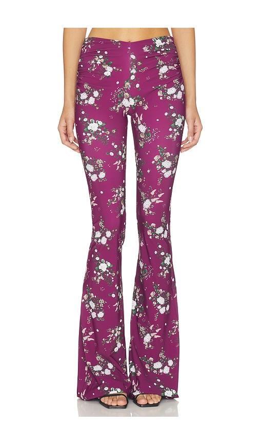 Aniye By Camil Pant in Wine by ANIYE BY