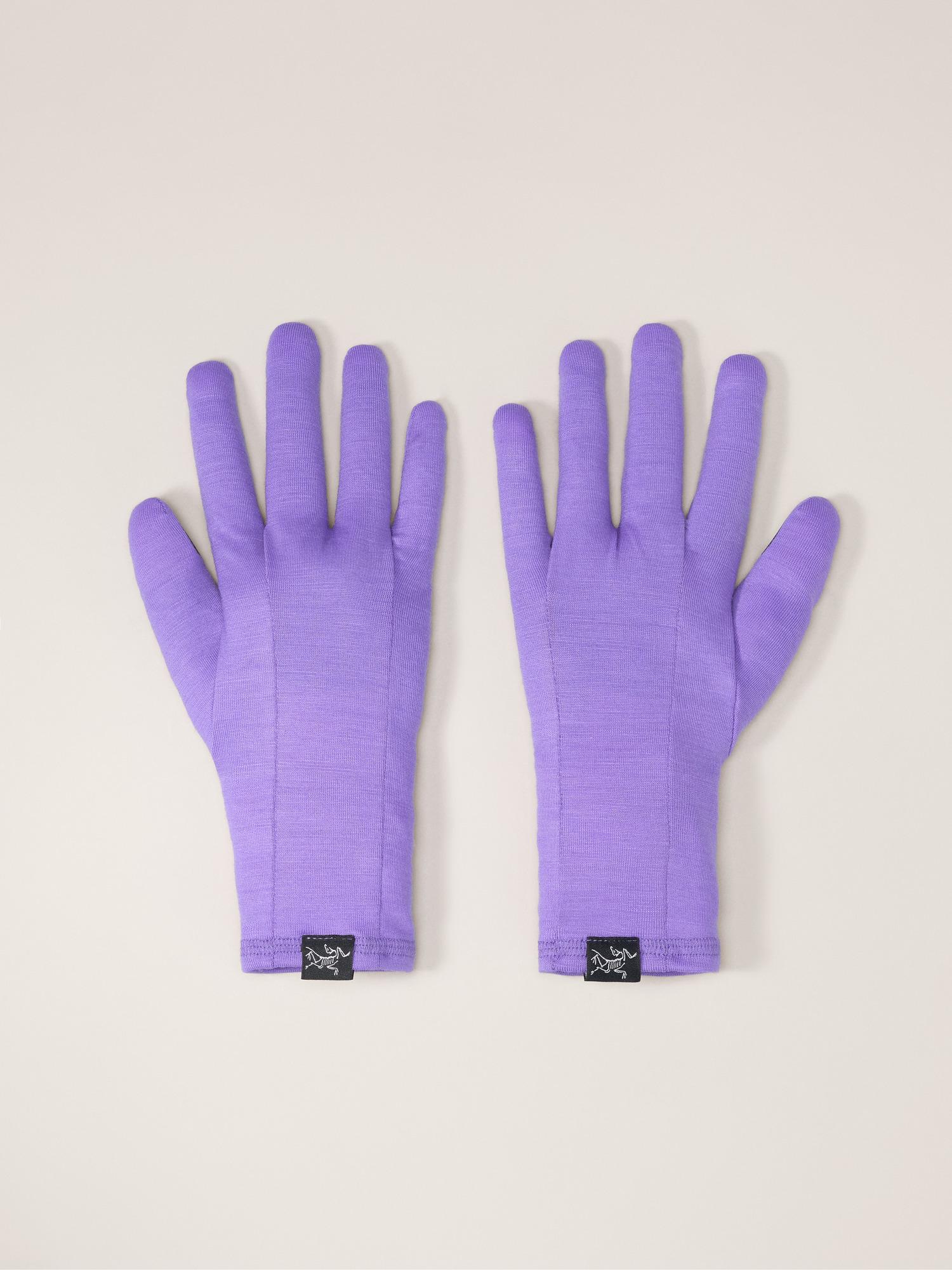 Gothic Glove by ARC'TERYX