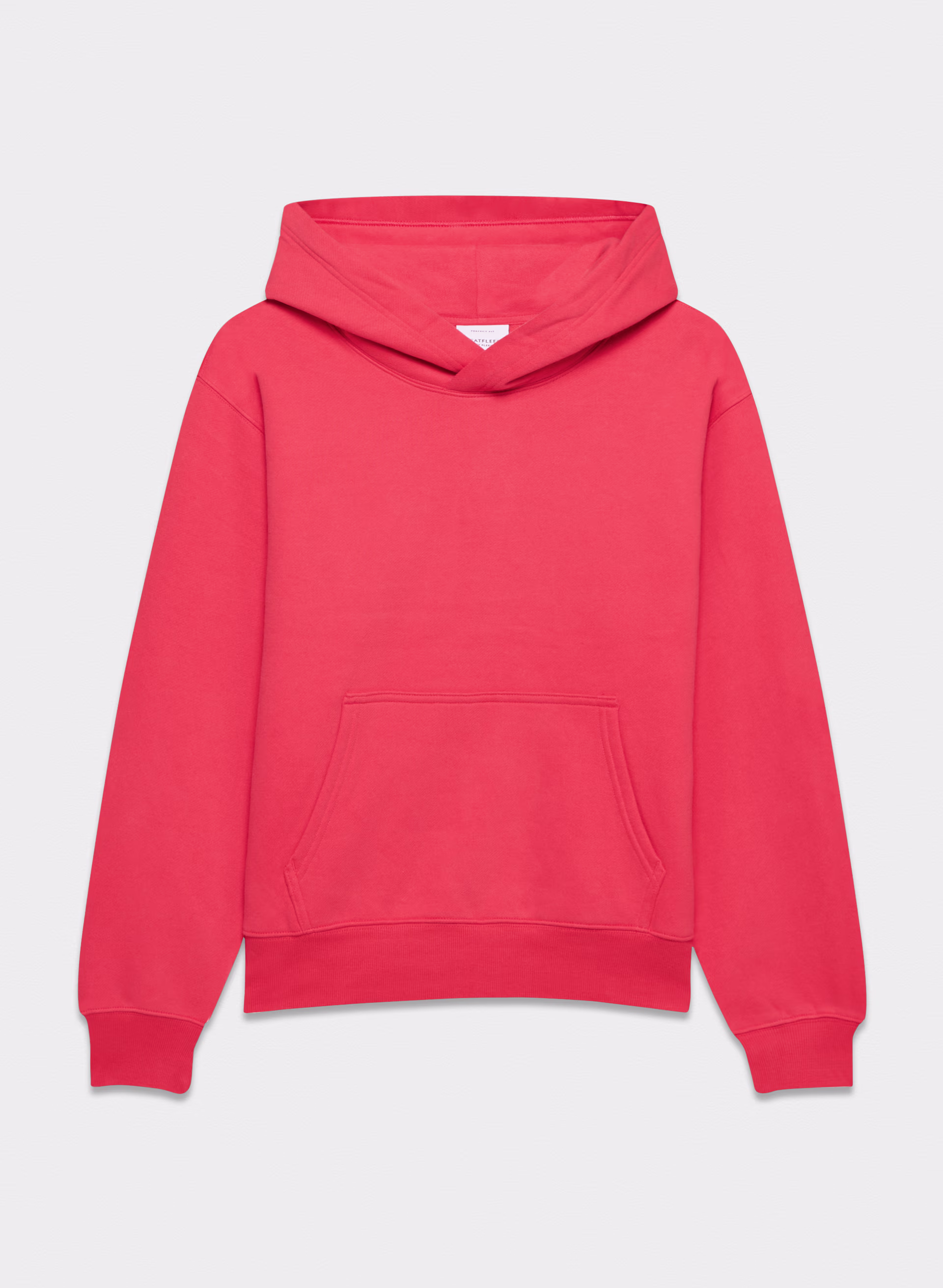 COZY SWEATFLEECE PERFECT HOODIE by ARITZIA