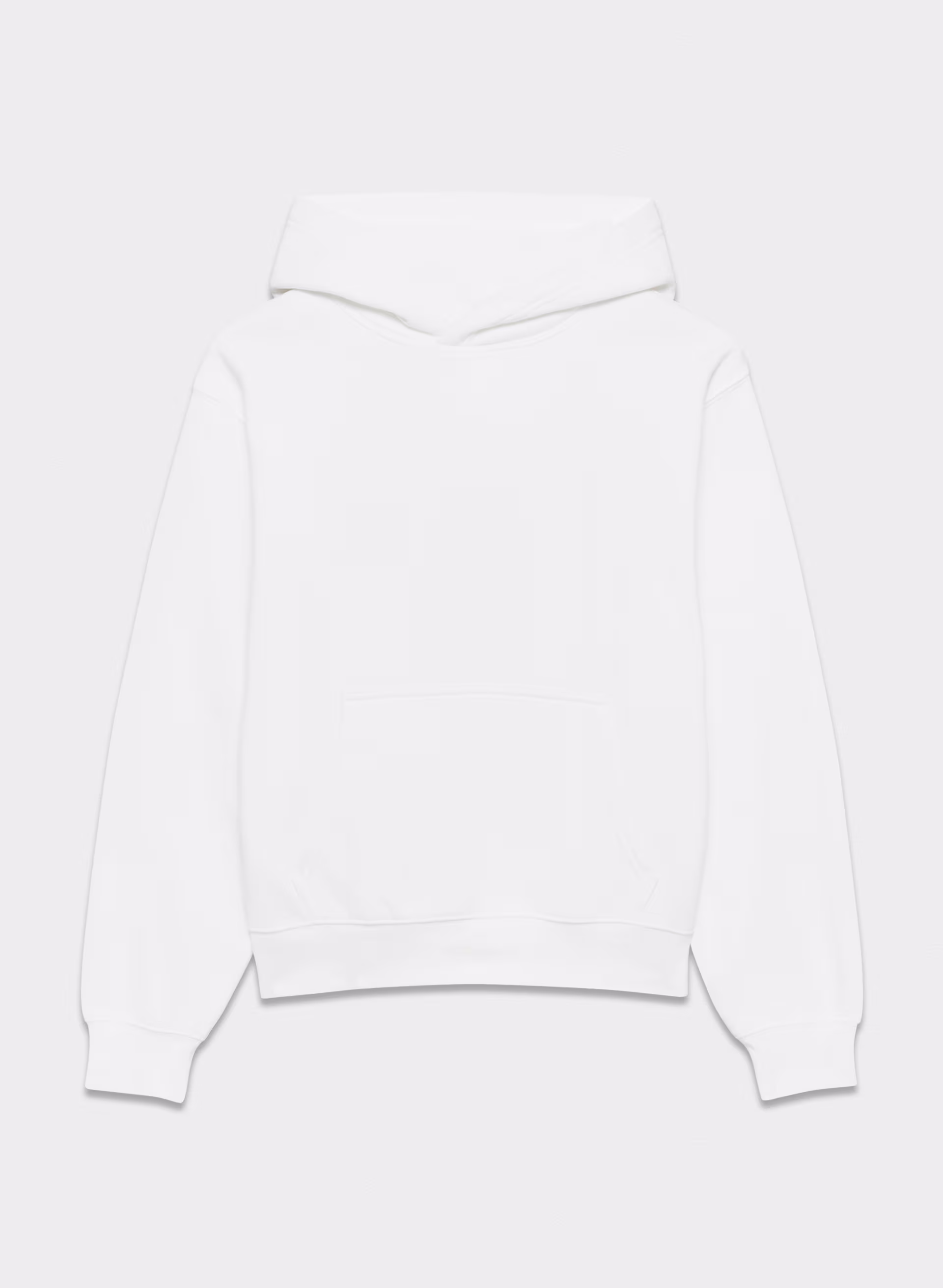 COZY SWEATFLEECE PERFECT HOODIE by ARITZIA