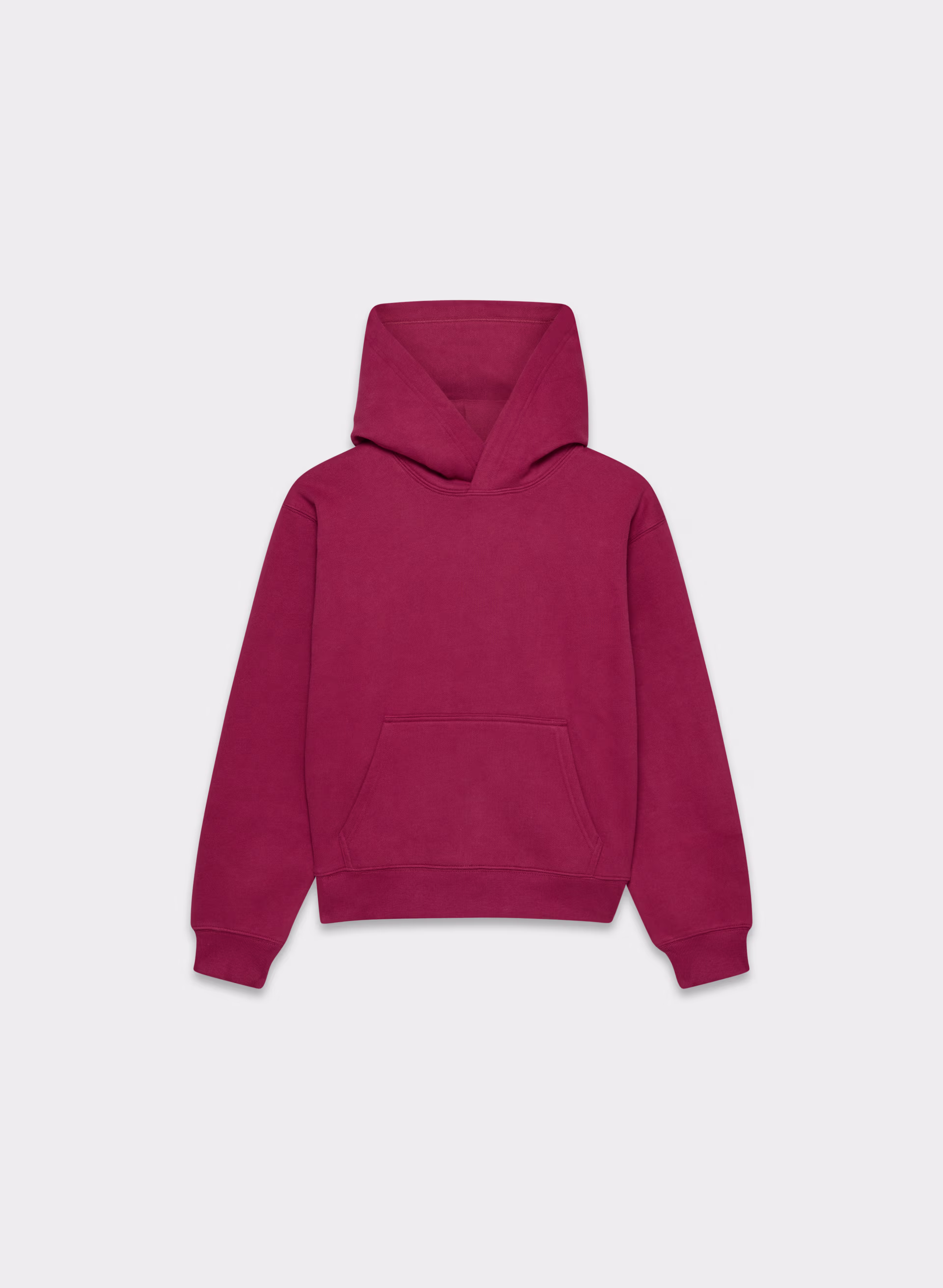 COZY SWEATFLEECE PERFECT HOODIE by ARITZIA