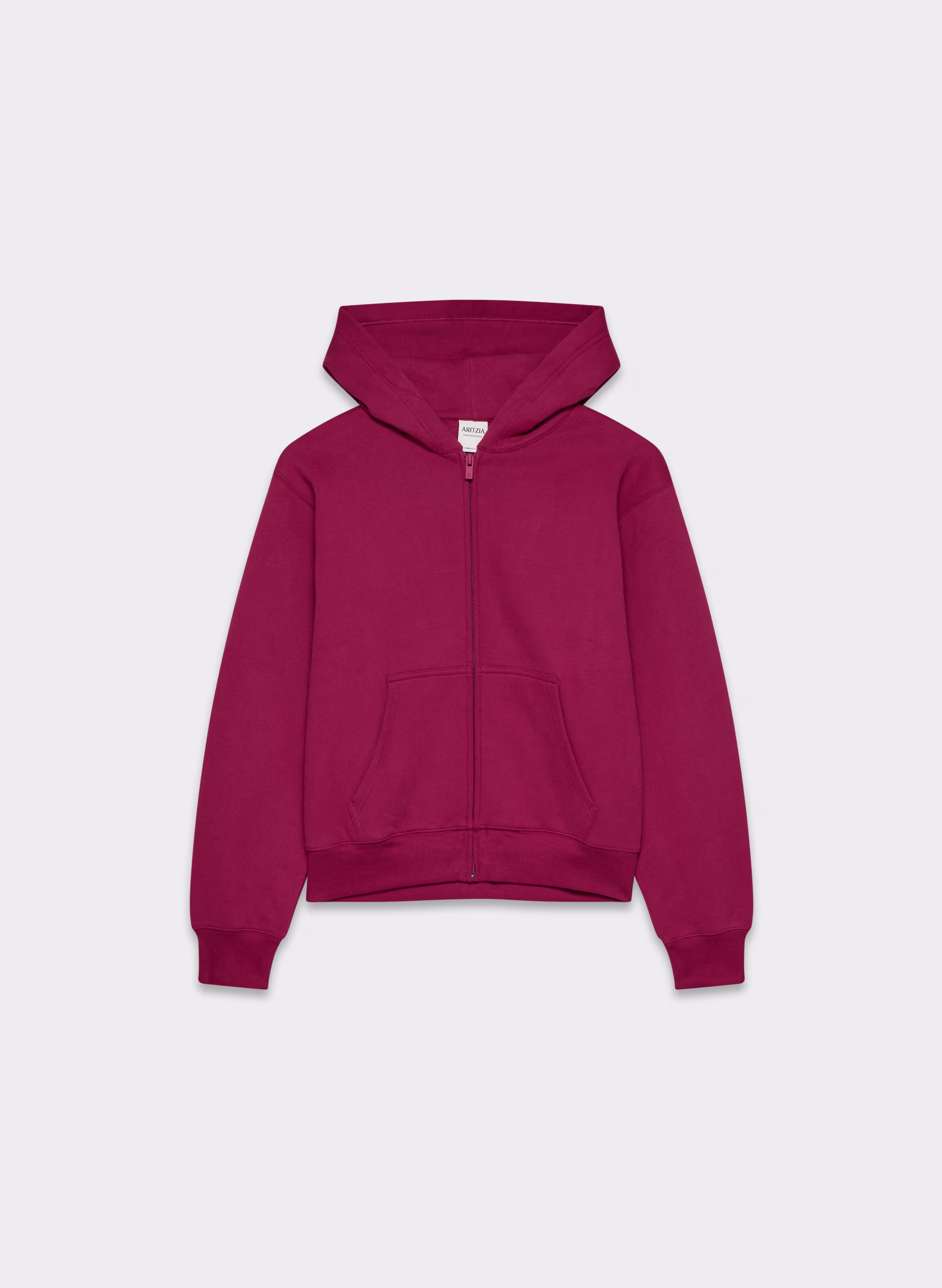 COZY SWEATFLEECE PERFECT ZIP HOODIE by ARITZIA