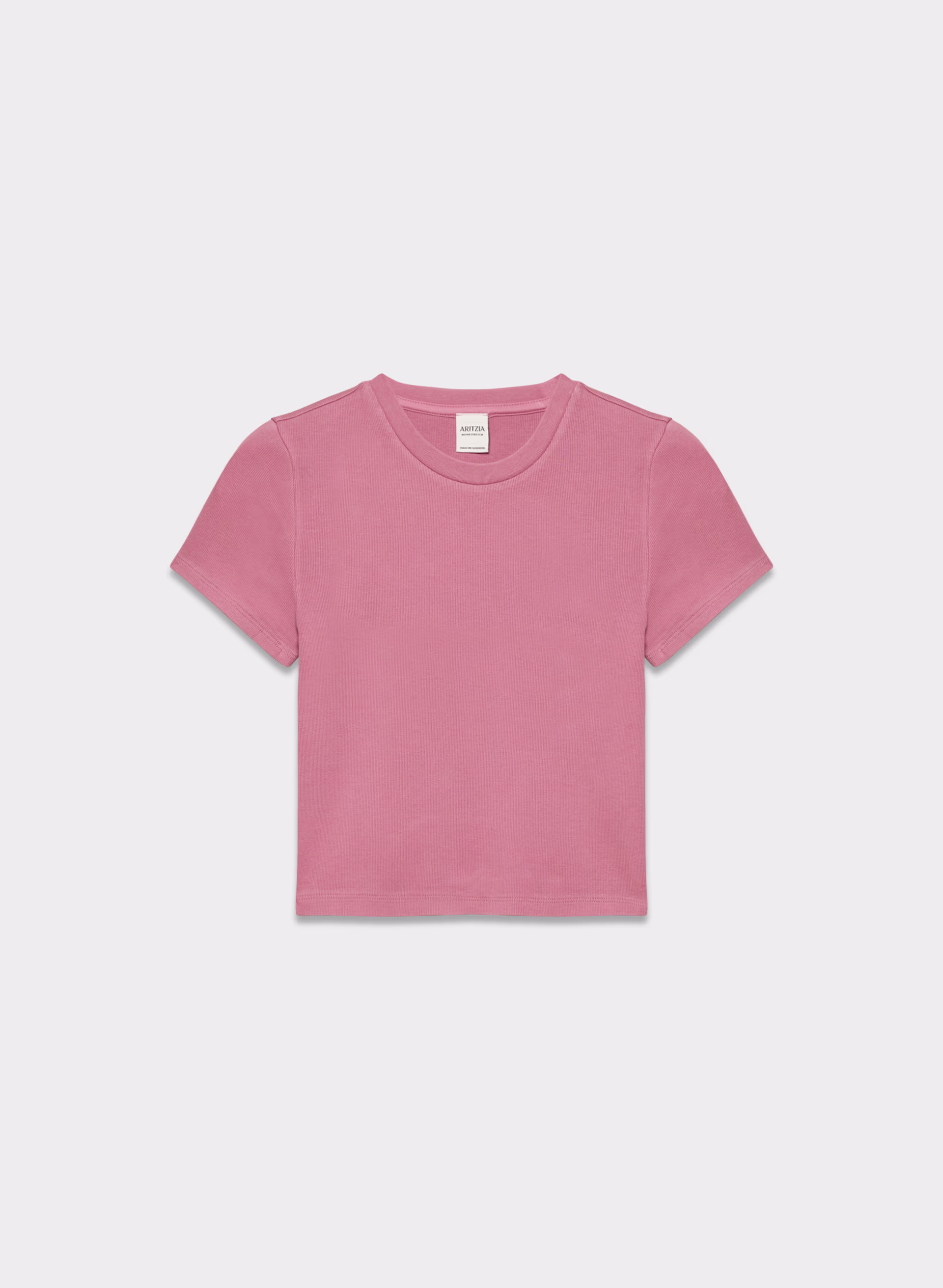 HOMESTRETCH™ RIB CREW WAIST T-SHIRT by ARITZIA