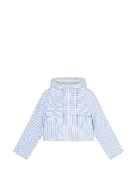 hoodied striped jacket by ARMANI EXCHANGE