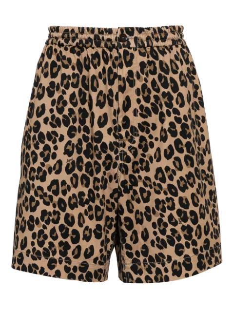 Nemo bermuda shorts by ASPESI