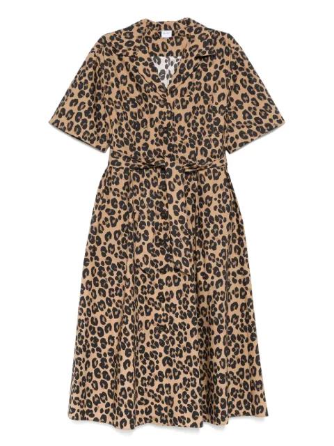 leopard-print midi dress by ASPESI