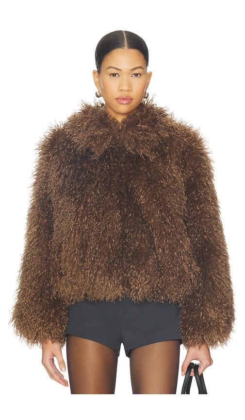 ASTR the Label Kamrath Jacket in Brown by ASTR THE LABEL