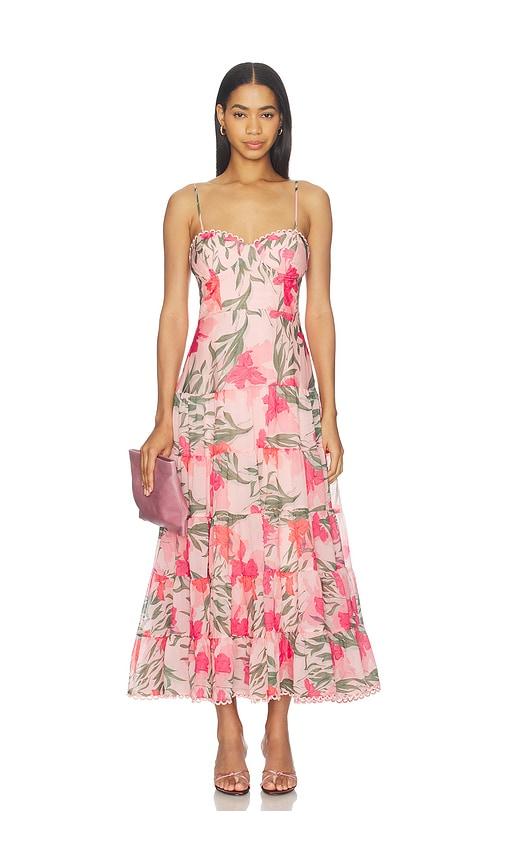 ASTR the Label Lianna Dress in Pink by ASTR THE LABEL