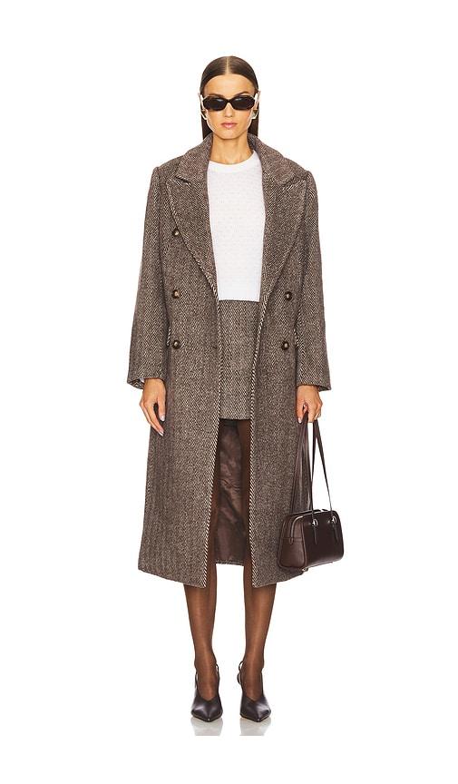 ASTR the Label Morana Coat in Brown by ASTR THE LABEL