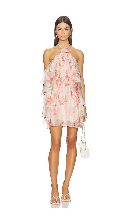 ASTR the Label Ofra Dress in Pink by ASTR THE LABEL