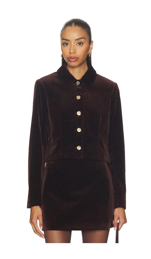 ASTR the Label Vox Jacket in Brown by ASTR THE LABEL