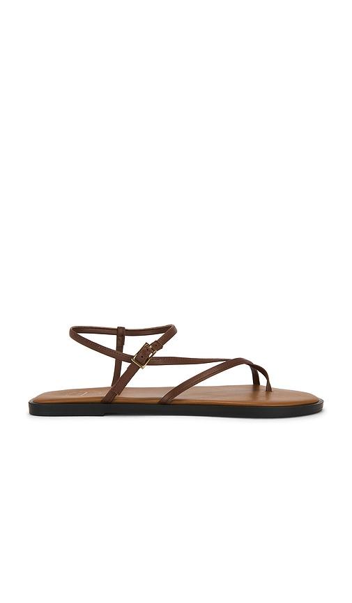 ATP Atelier Capri Sandal in Brown by ATP ATELIER