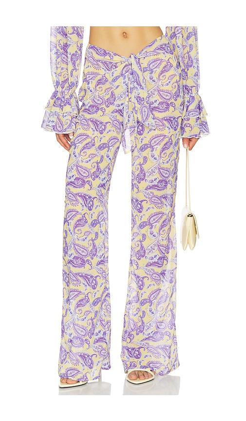 Bananhot Tommy Pants in Yellow,Purple by BANANHOT