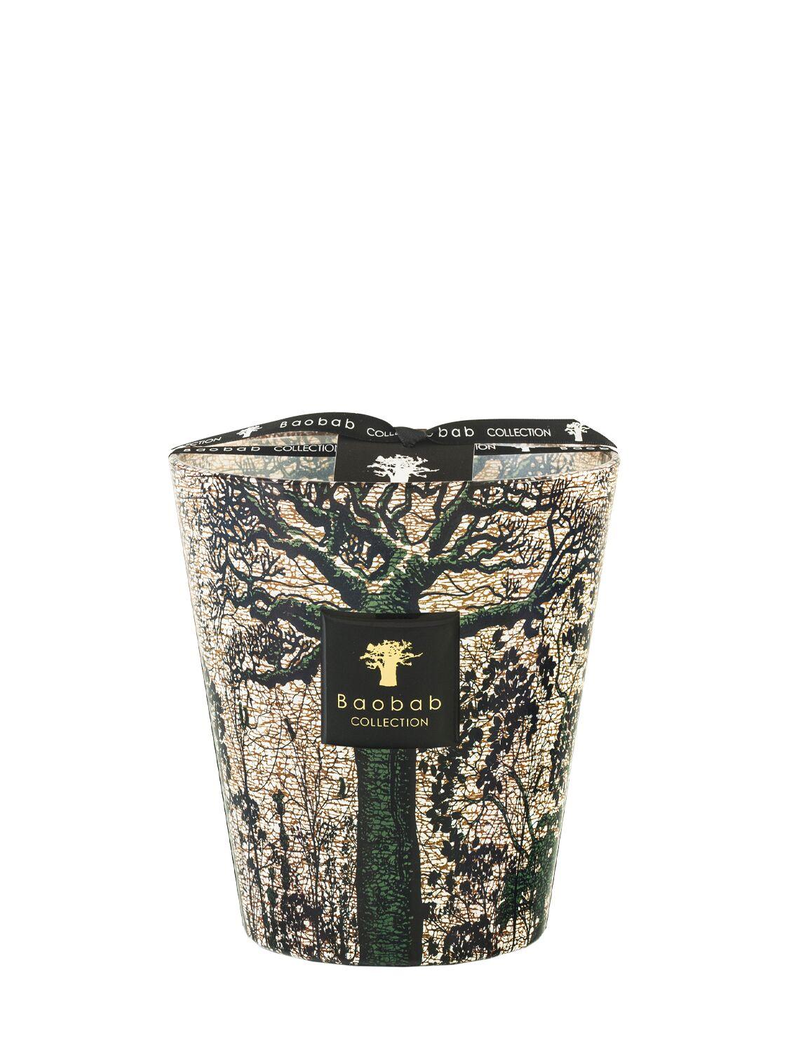 Max 16 Sacred Trees Kani Candle by BAOBAB COLLECTION