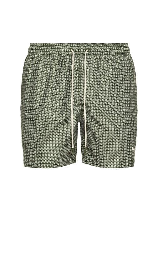 Barbour Shell Swim Short in Olive by BARBOUR