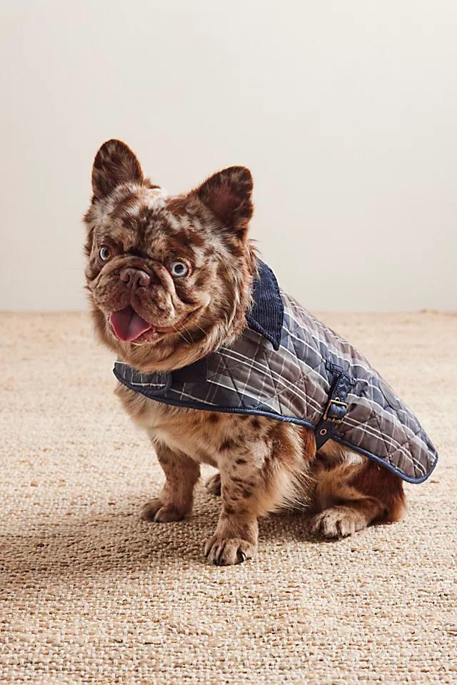 Barbour Tartan Dog Coat by BARBOUR | FREE PEOPLE