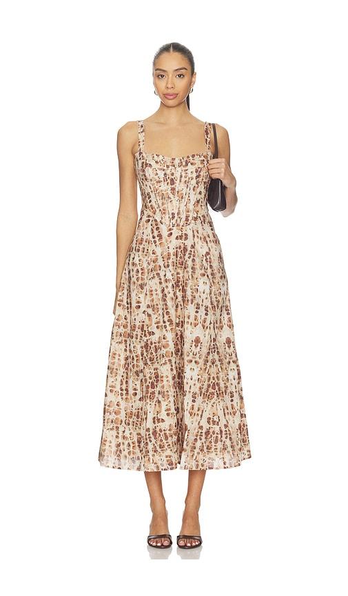 Bardot Lilah Corset Midi Dress in Brown by BARDOT