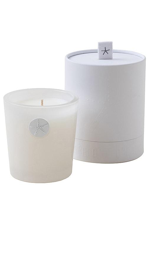 Barefoot Dreams Gardenia Luxe Soy Candle in NA by BAREFOOT DREAMS