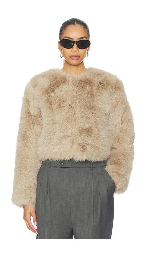 BLANKNYC Crop Faux Fur Coat in Beige by BLANK NYC