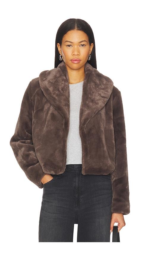 BLANKNYC Cropped Faux Fur Coat in Brown by BLANK NYC