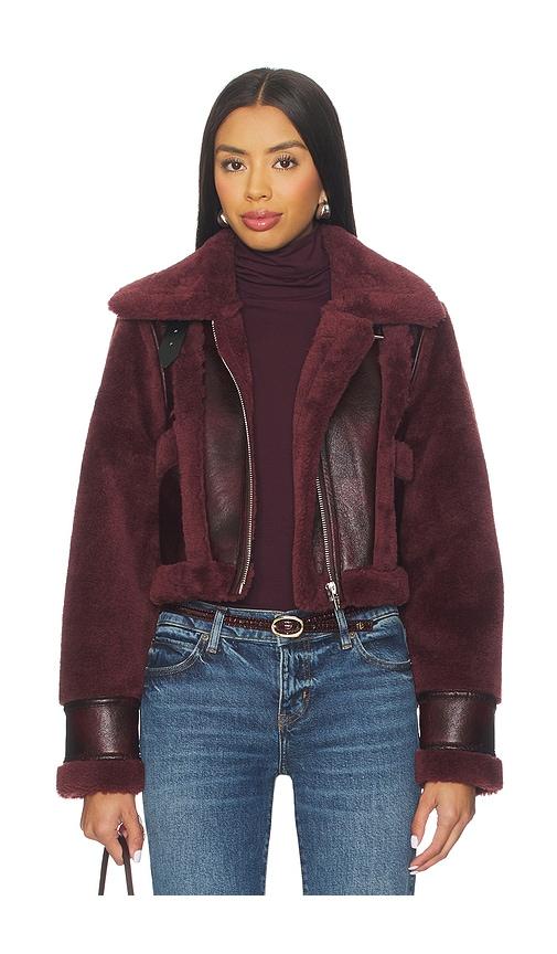 BLANKNYC Cropped Jacket in Burgundy by BLANK NYC