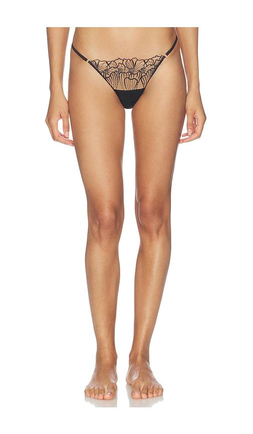 BLUEBELLA Amarosa Thong in Black by BLUEBELLA