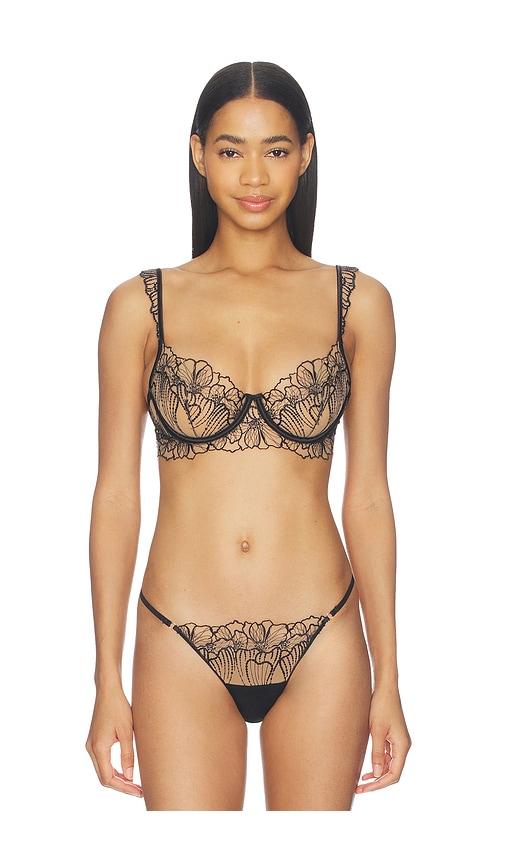 BLUEBELLA Amarosa Wired Bra in Black by BLUEBELLA