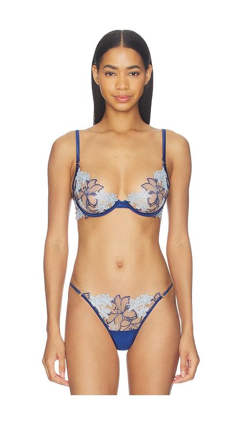 BLUEBELLA Calantha Wired Bra in Baby Blue, Navy by BLUEBELLA