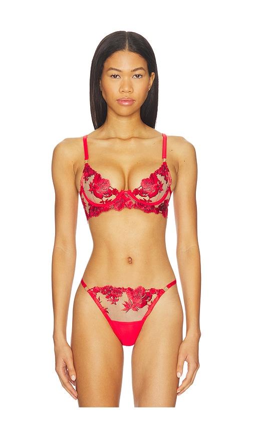 BLUEBELLA Lavanya Wired Bra in Red by BLUEBELLA