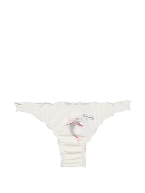 dolphin-print briefs by BLUMARINE