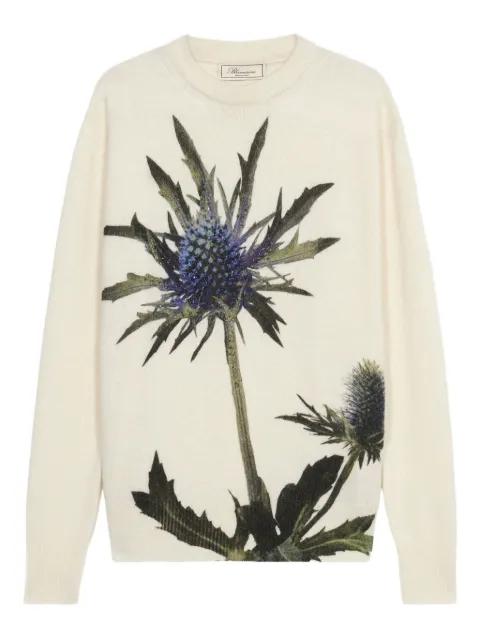 floral-motif crew-neck sweater by BLUMARINE